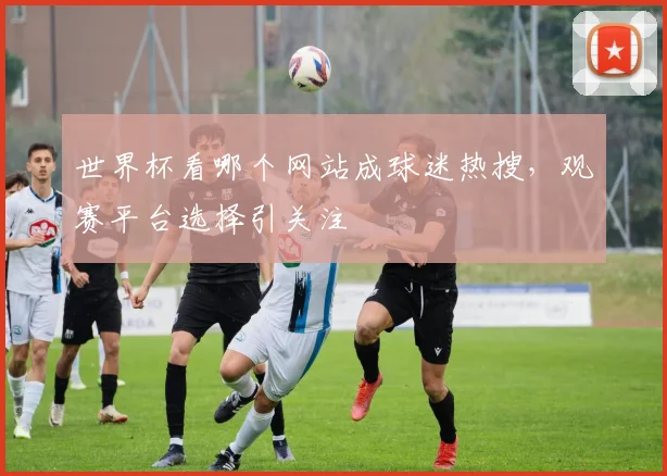 世界杯看哪个网站成球迷热搜，观赛平台选择引关注