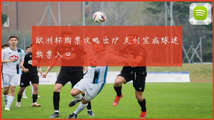 欧洲杯购票攻略出炉 支付宝成球迷购票入口