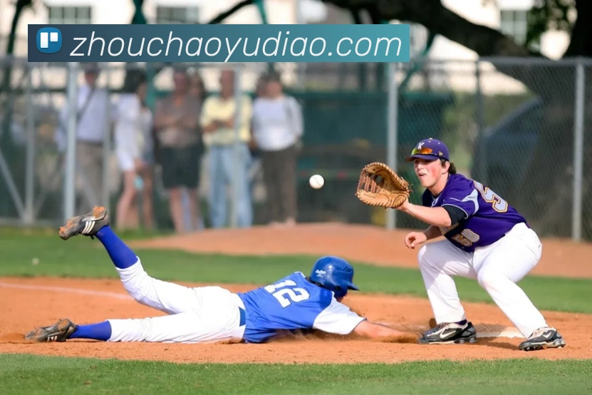 乐竞官方网站平台生态图